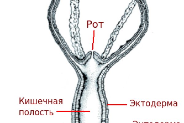 Кракен даркнет ссылка kraken link24 info