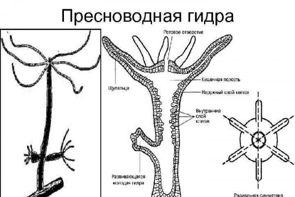 Кракен сайт krakendarknet top